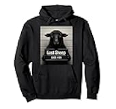 Lost Sheep 404 I Once Was Lost Now I Am Found Pullover Hoodie