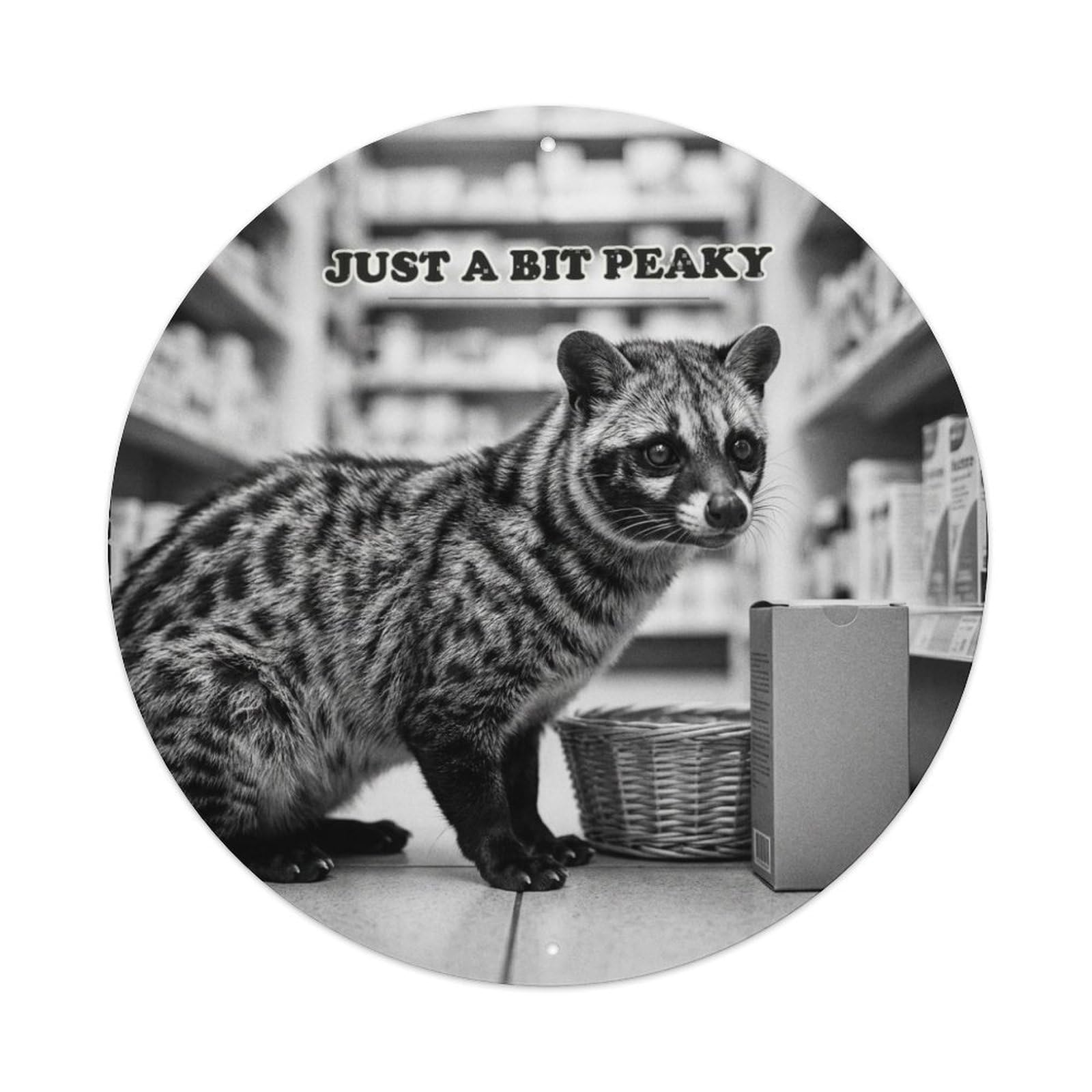 Wildlife Civet Pharmacy Aisle Vintage Animal Absurd Comedy Metal Tin Sign Plaque Wall Decor for Cafe, Man Cave, Club Bar, Office, Home Garden Round Metal Poster 8x8Inch