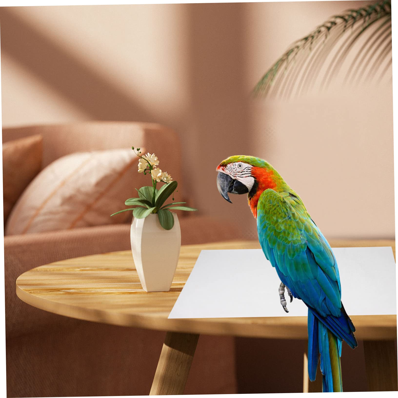 100 Pezzi Carta Naturale per Gabbie Uccelli Cuscino per Gabbia Pappagallo Tappetino Assorbente Senza Polvere Rivestimento Fondo Gabbia Sicuro per Uccelli