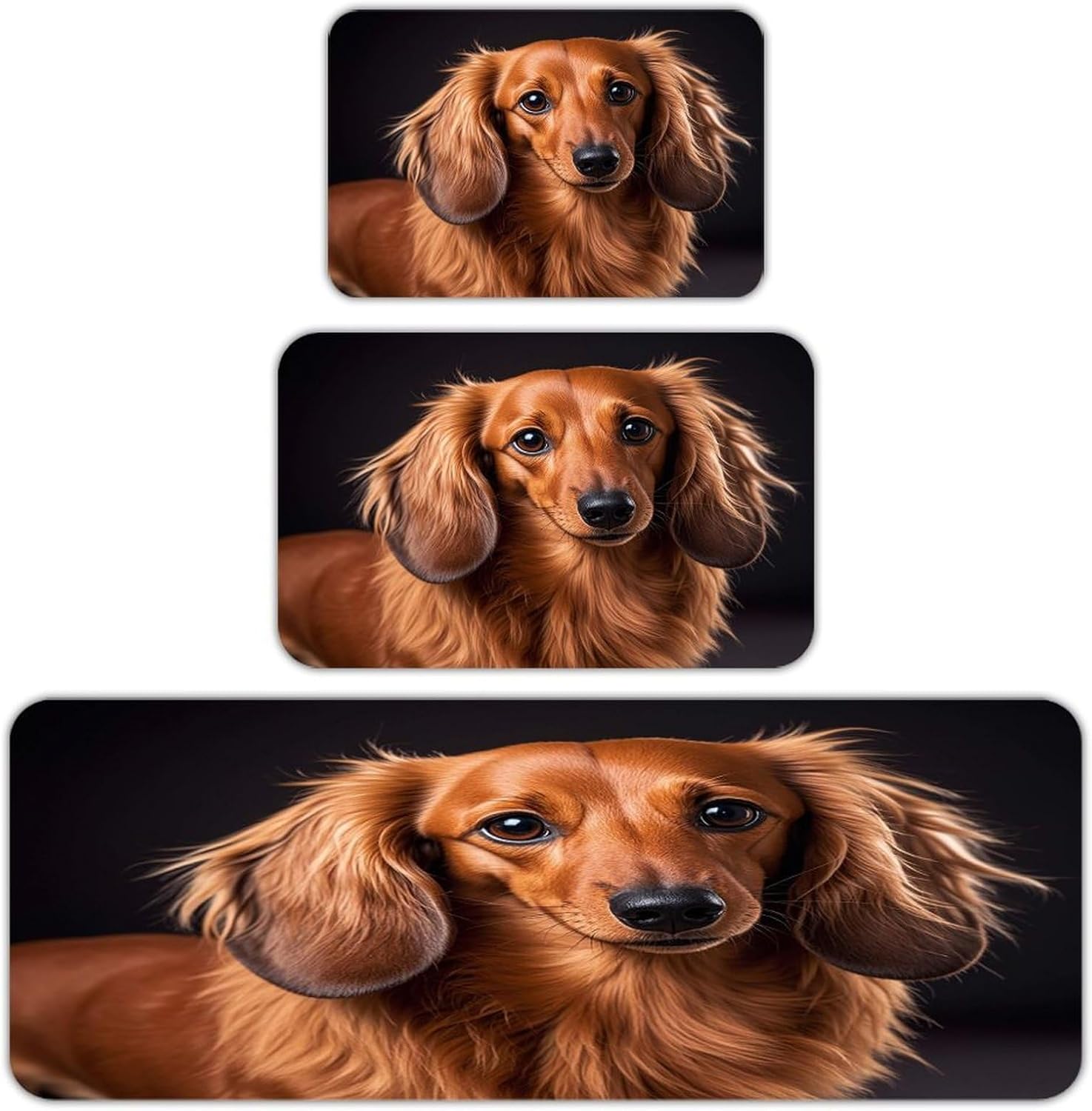 Long Haired Dachshund Kitchen Mats Soft Absorbent Rugs for Floor Non Slip Washable Kitchen Mats Fashion Rectangular Rugs for Three-Piece Set for Laundry Office Home Sink