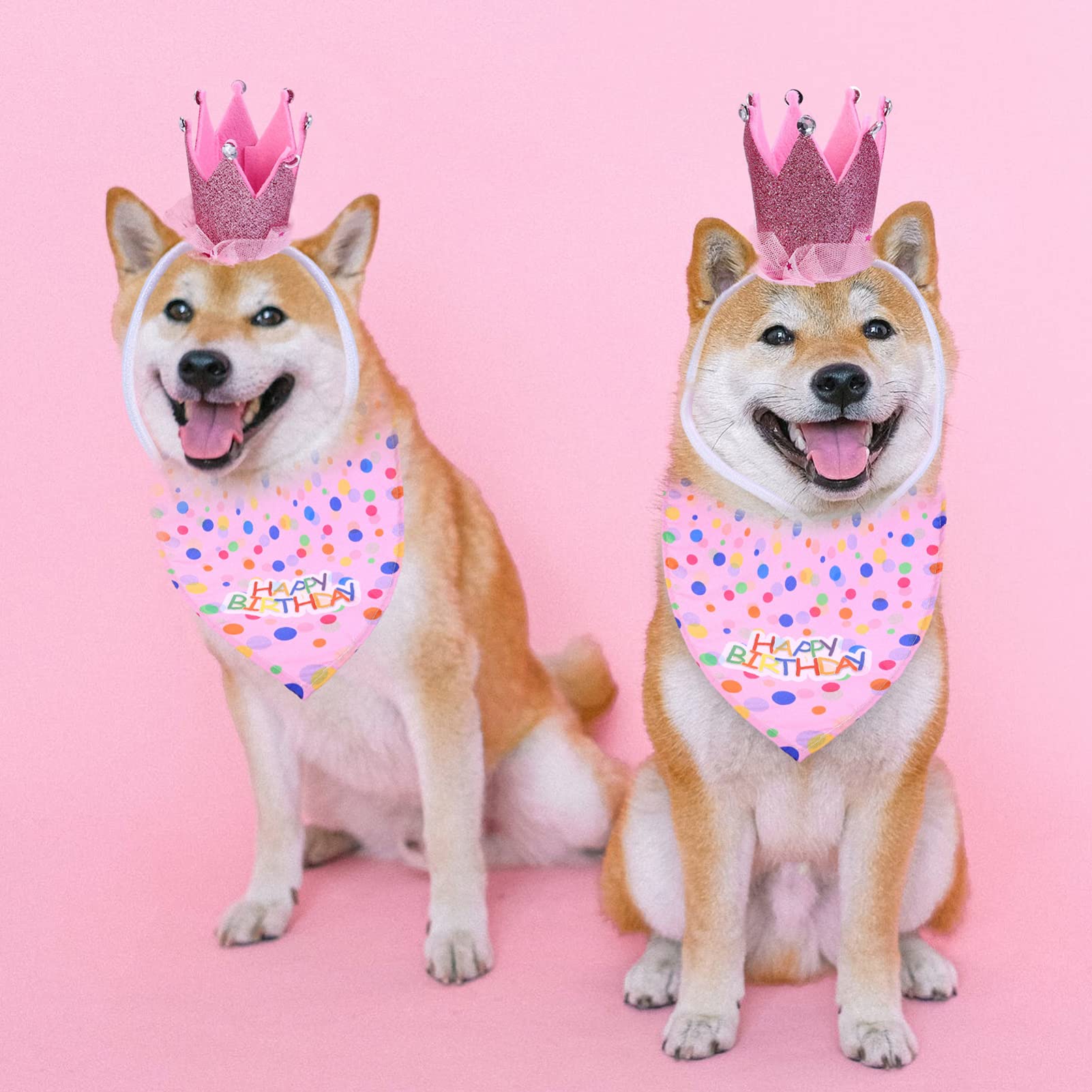 POPETPOP 9pièces Costume Anniversaire pour Chien Ensemble avec Chapeau Jupe Et Bandana pour Fête Anniversaire