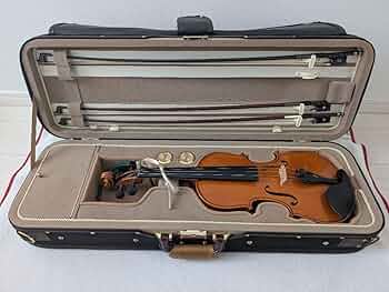 Amazon.co.jp: ロマンツァ RV-350 バイオリン 湿度温度計付き