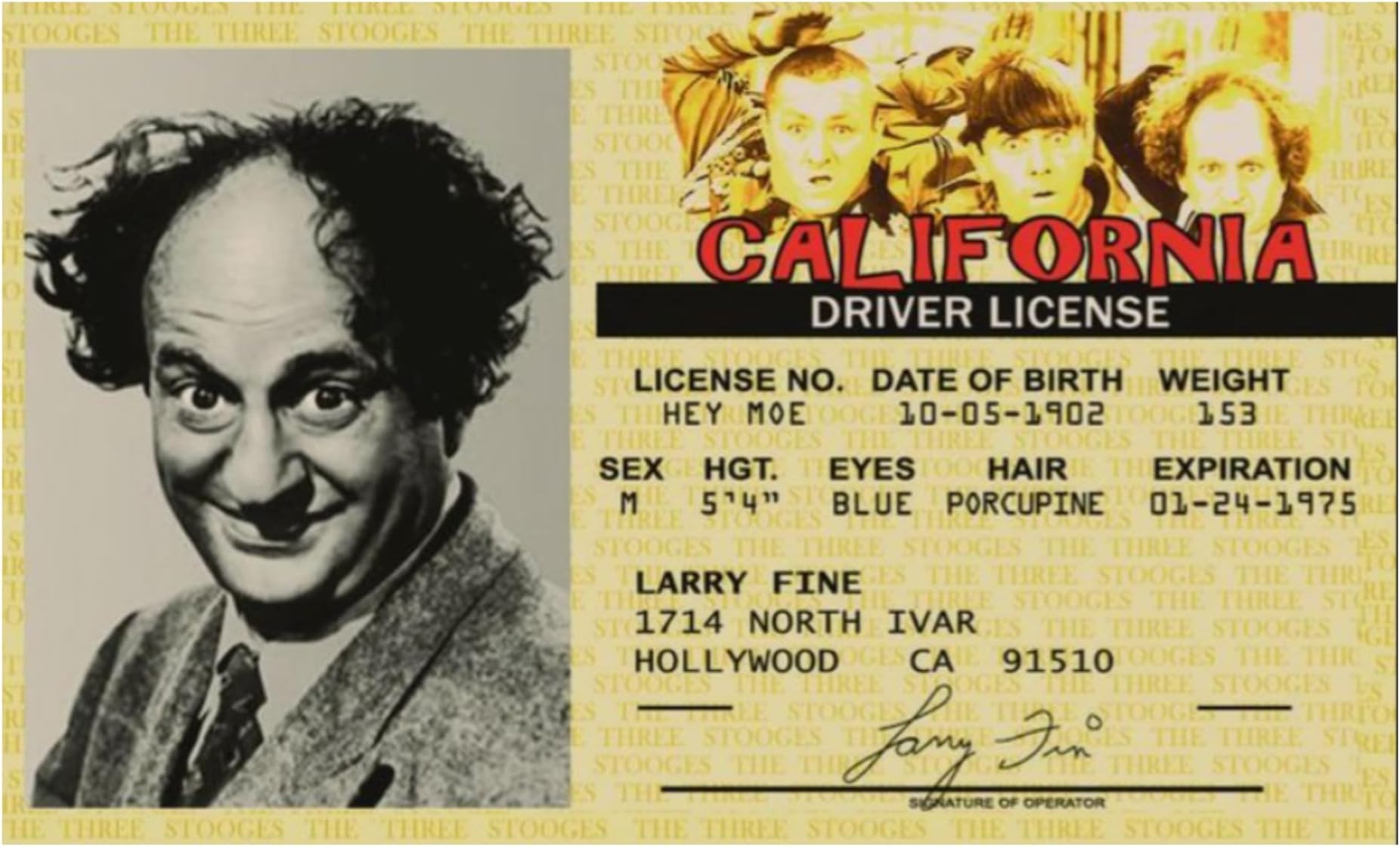 Three Stooges - Larry Fine Driver License Novelty Id Card