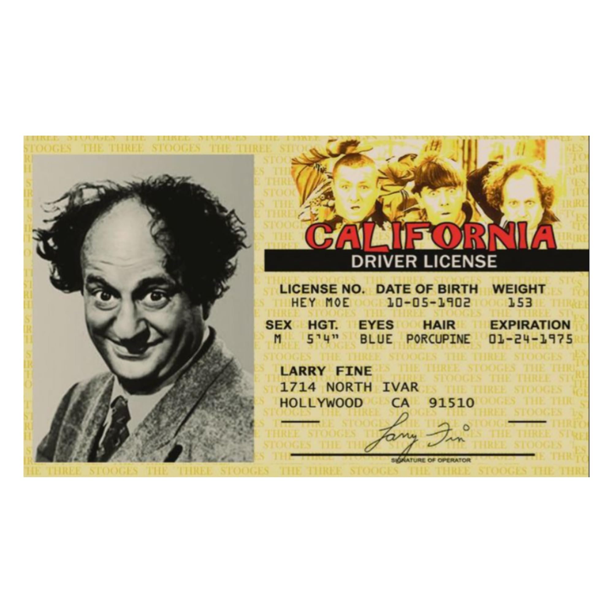 Three Stooges - Larry Fine Driver License Novelty Id Card