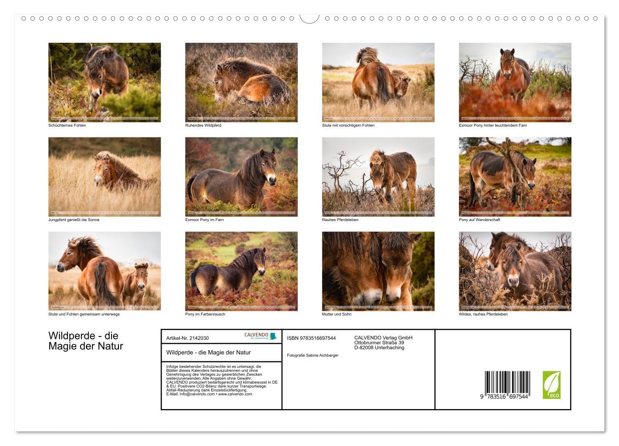 Wildperde - die Magie der Natur (hochwertiger Premium Wandkalender 2026 DIN A2 quer), Kunstdruck in Hochglanz: Magie wilder Pferde (CALVENDO Tiere)