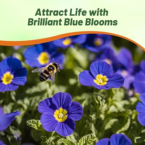 Miniatura 6 de Outsidepride Primula Acaulis - Flores de jardín comunes de primavera inglesa para camas, bordes y contenedores - 200 semillas