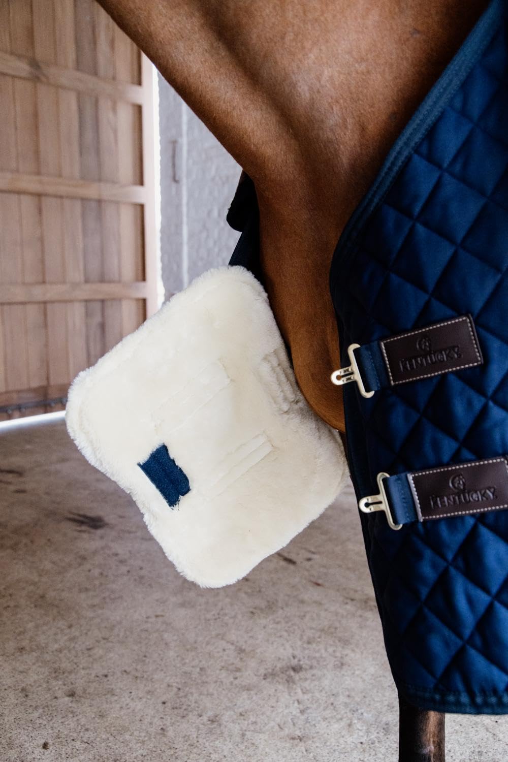 Extension de poitrine Kentucky Marine au box ou en transport pour le confort du cheval