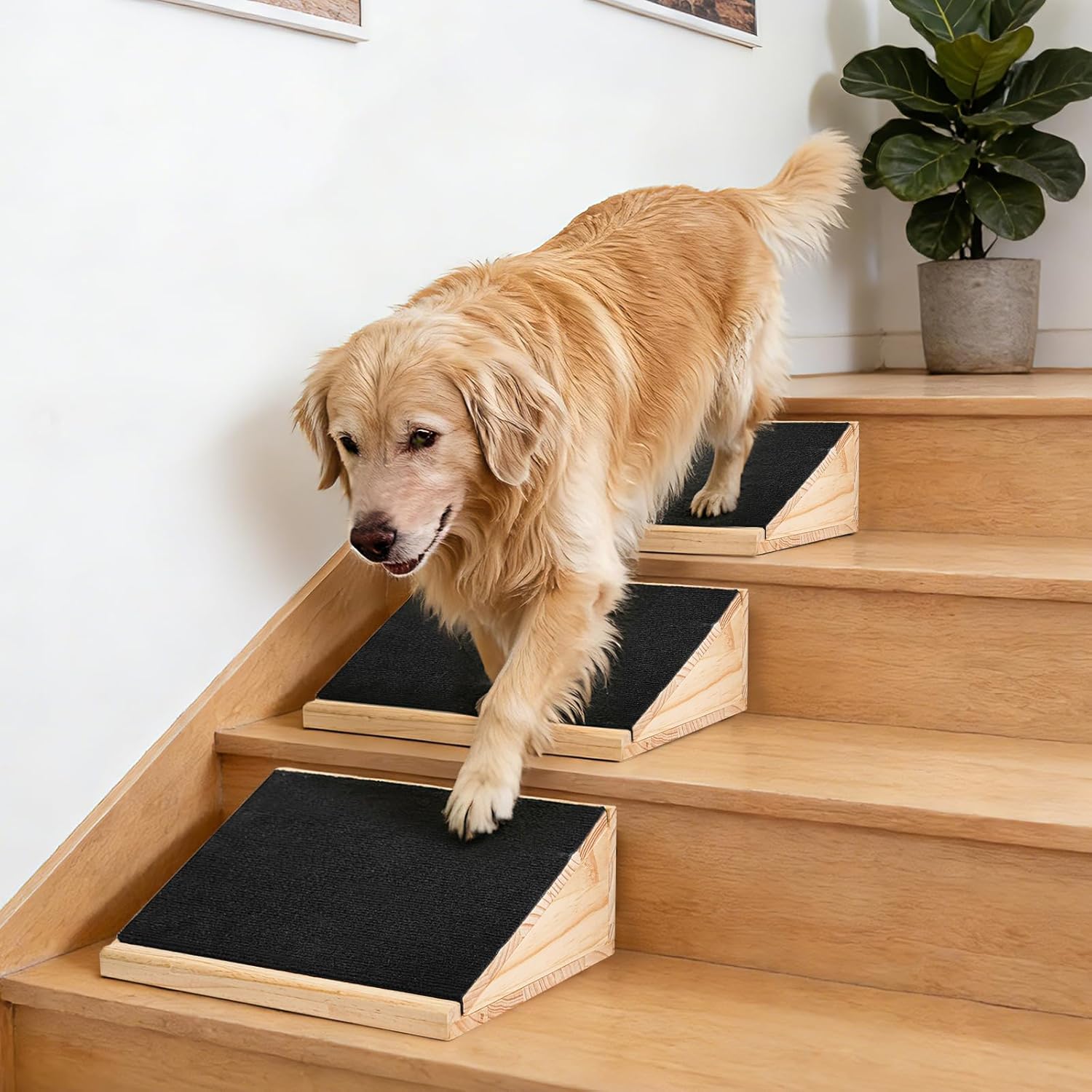 3-Pack Stair Ramp for Senior Dogs, Low-Angle Pet Mobility Aid with Extra Wide Non-Slip Surface, Solid Wood Indoor Step Ramps for Small & Medium Pets