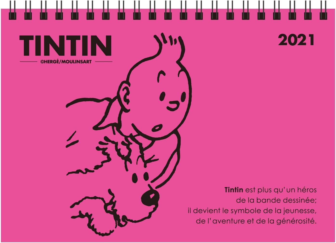 Amazon.com : Japanese Calendar Etranger Di Costa Rica 2021 Tintin Calendar Desktop B6 Snowy 0301-Tcl-B6-001 : Office Products
