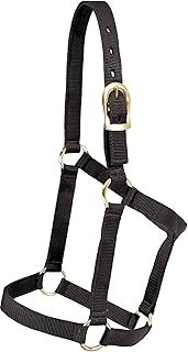 Mustang Regular Economy Halter Black