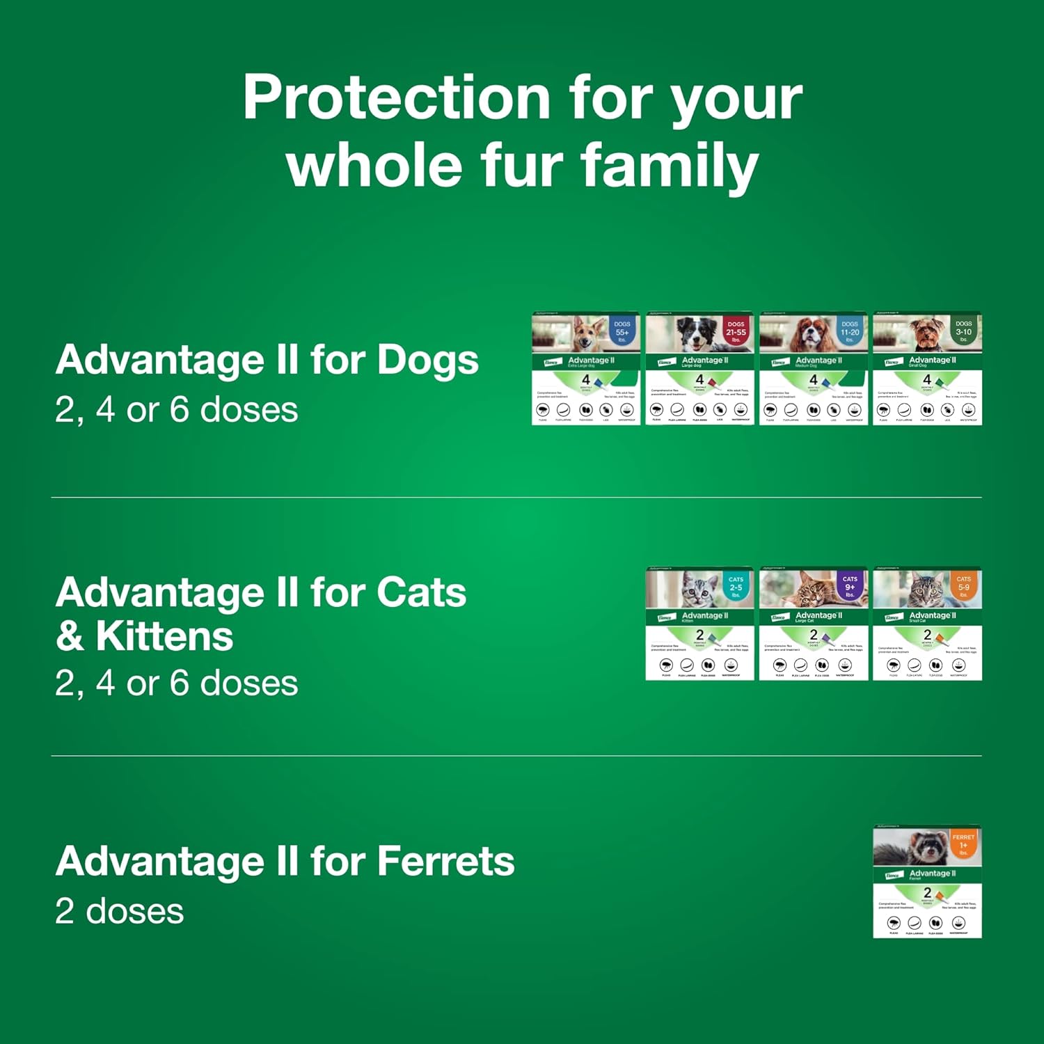 Advantage II Large Cat Vet-Recommended Flea Treatment & Prevention | Cats Over 9 lbs. | 3-Month Supply