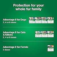 Vista 6 de Advantage II Tratamiento y prevención de pulgas recomendado por veterinarios para gatos grandes Gatos de más de 9 libras Suministro para 3 meses