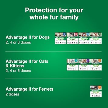 Advantage II Large Cat Vet-Recommended Flea Treatment & Prevention | Cats Over 9 lbs. | 3-Month Supply