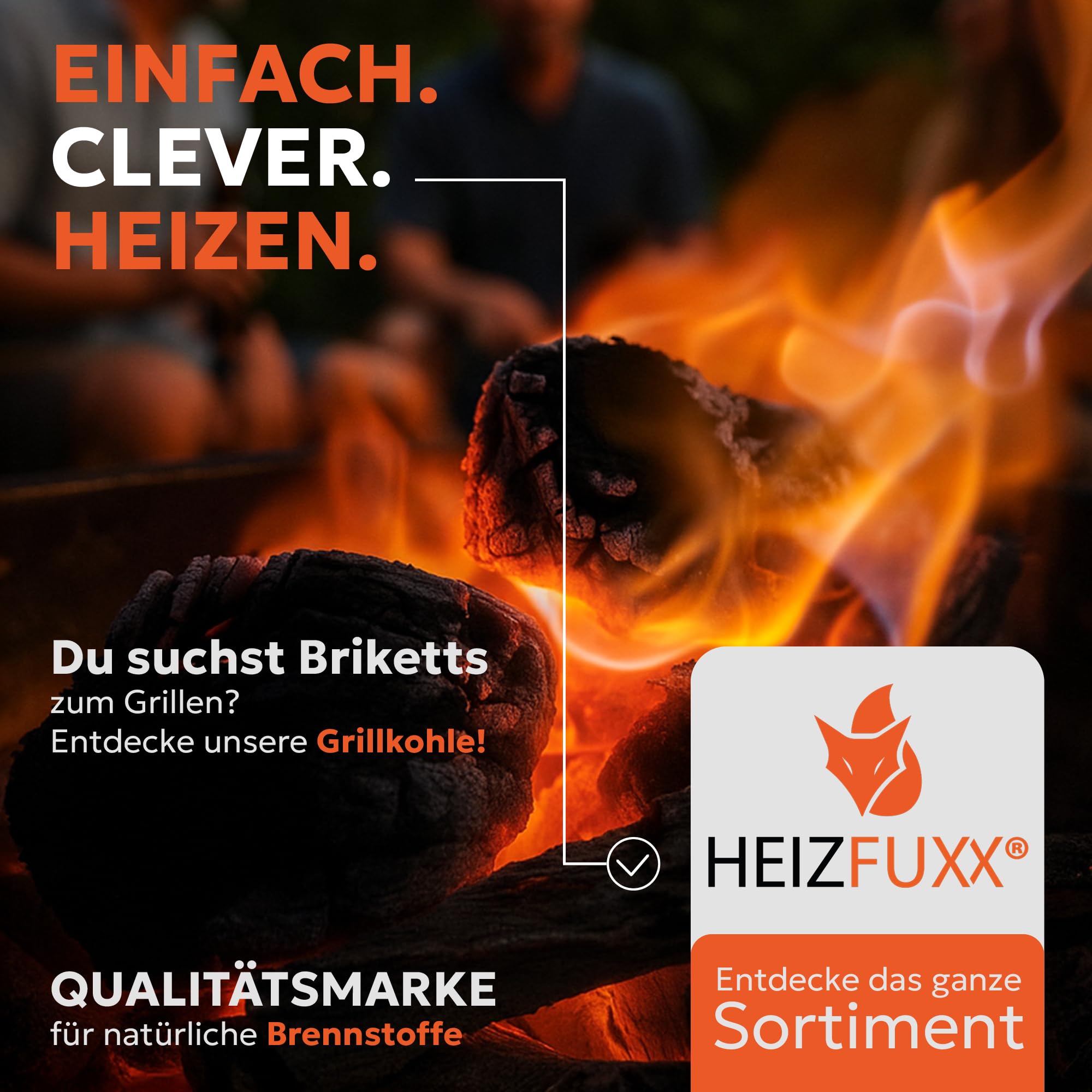 Steinkohle grob 25-60mm (20 kg Sack) – Anthrazit-Nusskohle in Premiumqualität – Effiziente Wärme zum Heizen und für Öfen & Heizanlagen – Hoher Heizwert & saubere Verbrennung