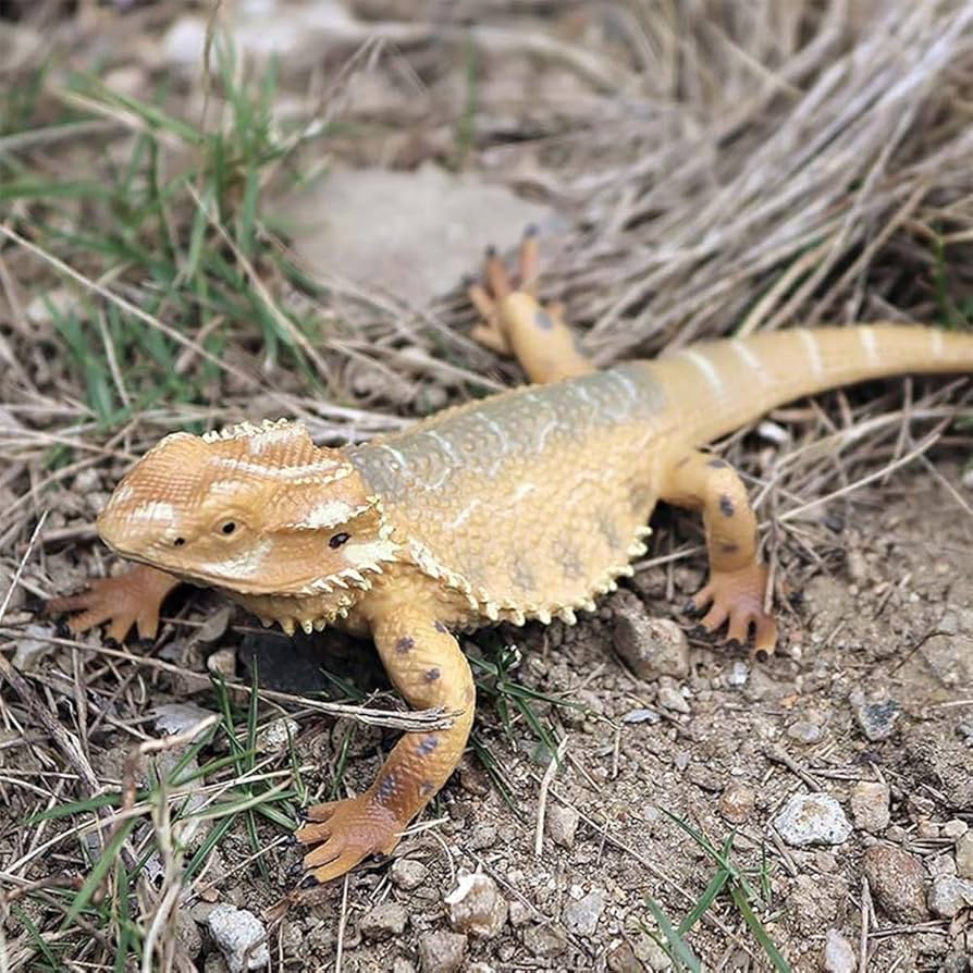 Amazon.co.jp: フトアゴヒゲトカゲ リアル爬虫類フィギュア 置物