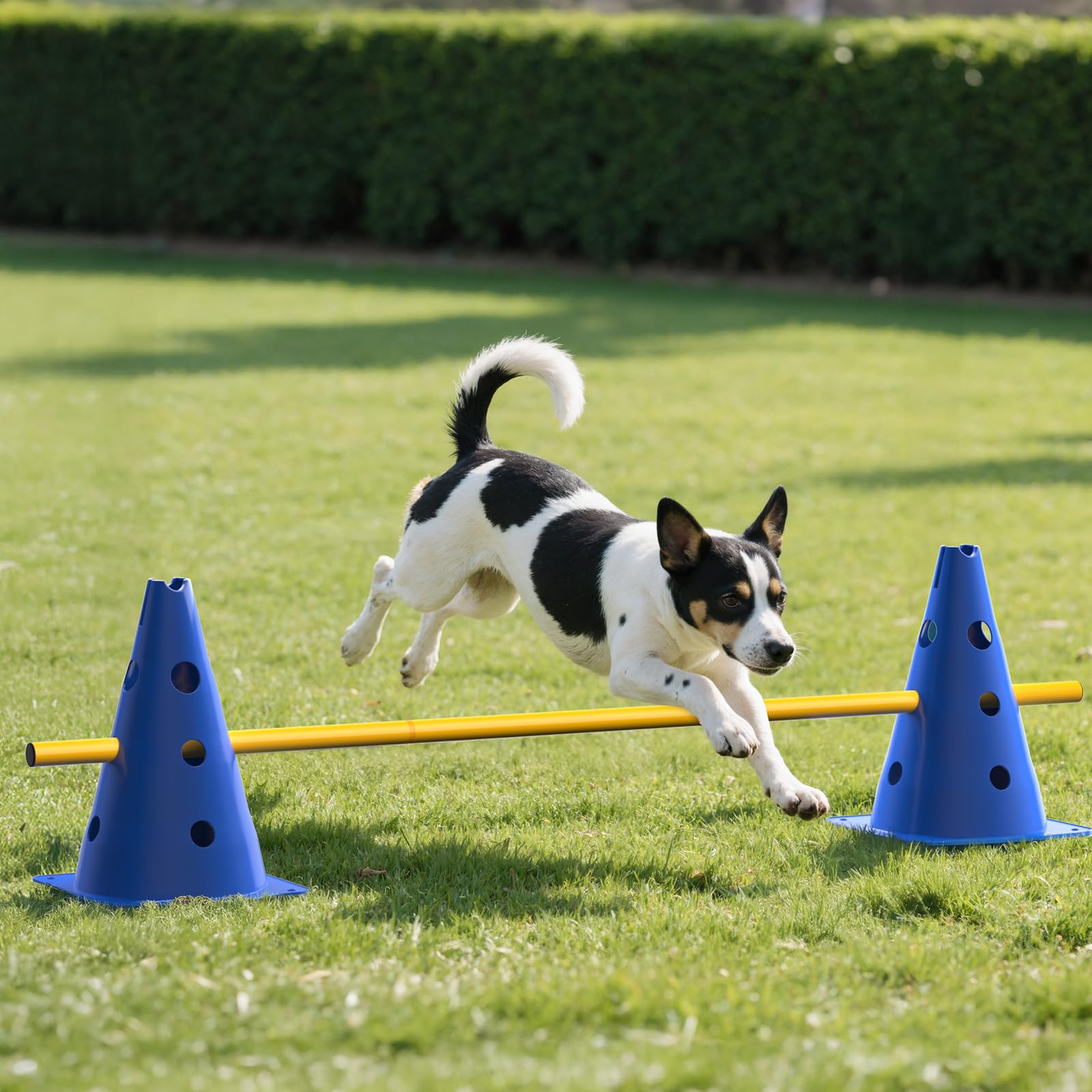GHB Steckhürdenset Hobby Horsing 12 Kegel 18 Stangen, Agility Hürden Set Hunde, Fussball Trainingszubehör für Koordinationstraining mit Tragetasche