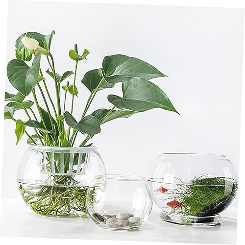 Miniatura 3 de ARTIBETTER Jarrón hidropónico de vidrio transparente, 2 piezas, decorativo para escritorio, para oficina en casa y hotel, para flores eternas y