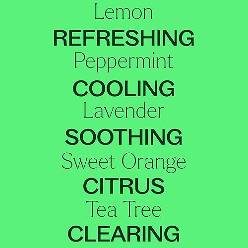 Miniatura 4 de Juego de 14 aceites esenciales de primera calidad. Incluye: aceites 100 % puros de grado terapéutico de Bergamota, salvia esclarea, canela,