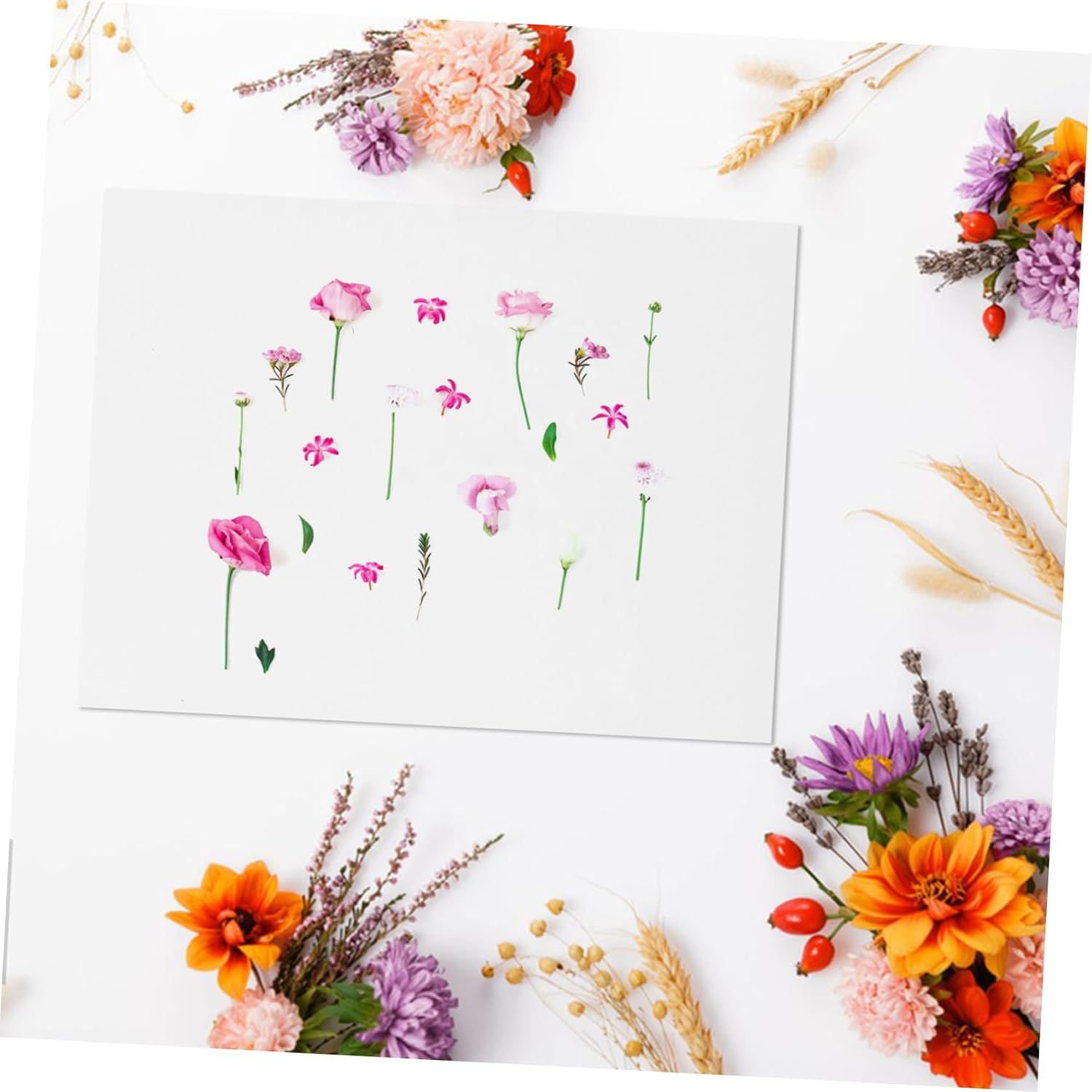 Homoyoyo 4pcs Flower Press Paper Reusable Water Absorbing Blotter Paper for DIY Dried Flower Art Specimen Making Protects Petals Enhances Color Retention