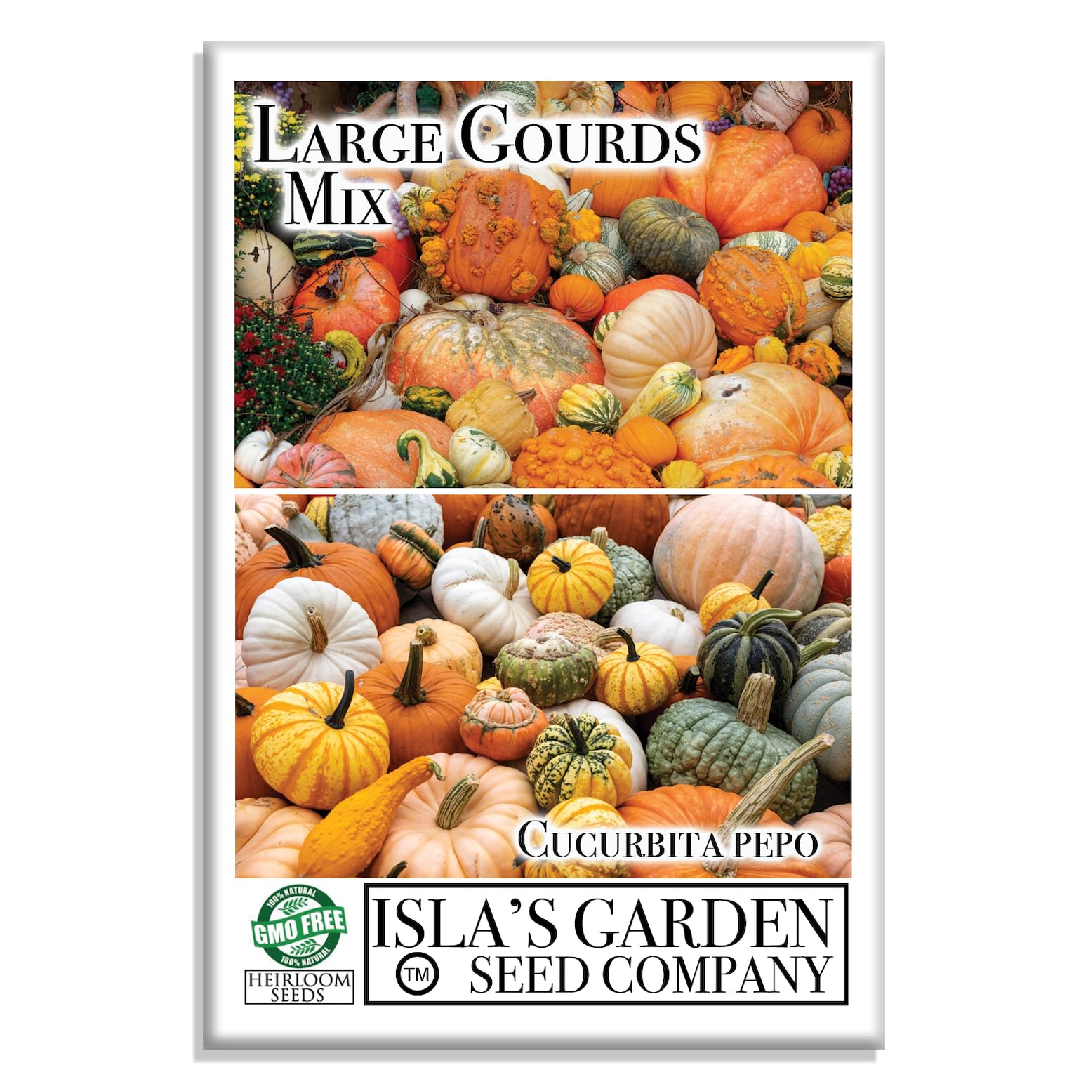 Large Gourd Mix Squash Seeds for Planting, 25+ Heirloom Seeds Per Packet, (Isla's Garden Seeds), Non GMO Seeds, Great Home Garden Gift, Decorative Squash Gourds