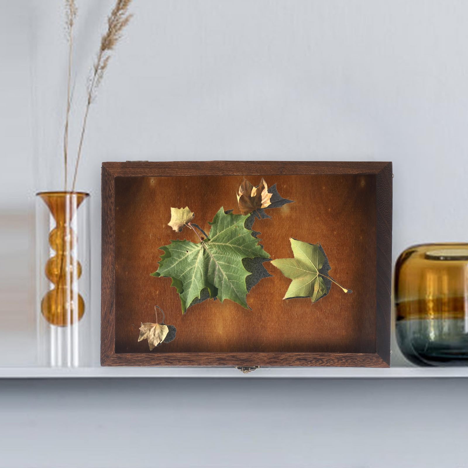 Scatola Espositiva per Farfalle e Insetti Design Retrò e Coperchio Trasparente, Custodia per Collezioni di Gioielli e Fiori Secchi, per Appassionati di Collezionismo