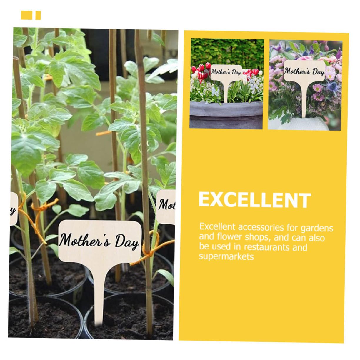 BESPORTBLE 100pièces Étiquettes De Plantes Panneaux Identificateurs Pour Fleurs Et Étiquettes De Jardin Durables Pratiques Pour Pots Et