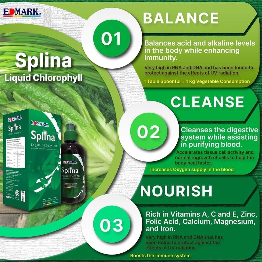 EDMARK Splina Chlorophylle liquide 500 ml – Équilibrant, nettoyant, nourrissant, rajeunissant – Vert