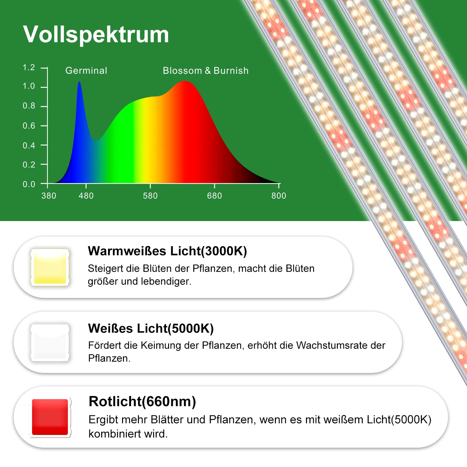 wolezek Pflanzenlampe LED, T8 4 Pack Pflanzenlampe Led Vollspektrum für zimmerpflanzen, 2FT Wachstumslampen für Pflanzen, 3000K 6500K 660nm LEDs Pflanzenlicht für Gewächshaus Indoor