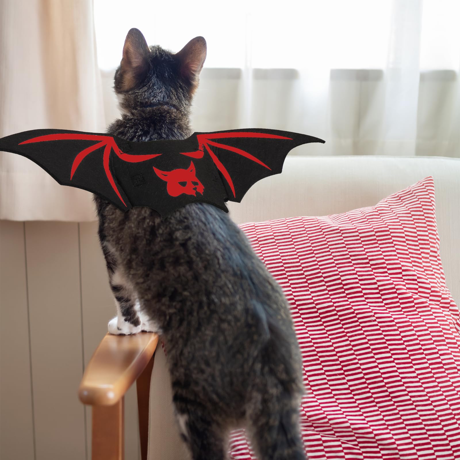 Costume Halloween Chat Ailes Chauve-souris - Taille Réglable, Feutre Noir 4mm | Déguisement Chat Mignon Fête