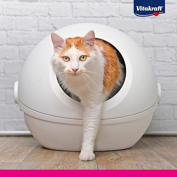 Vitakraft Magic Clean Classic, Arena no aglomerante para Gatos, Fabricada con microesferas minerales, inhibe Las bacterias, Especialmente Baja en Polvo, Tiene una duración de 8 semanas (1x 8,4l) - 5