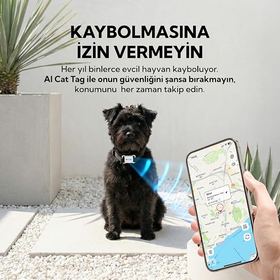 Köpek AicatTag Tasma,kedi Tag,Hayvan Takipcihazı,Tag pet tasma Ios&androiduyumlu