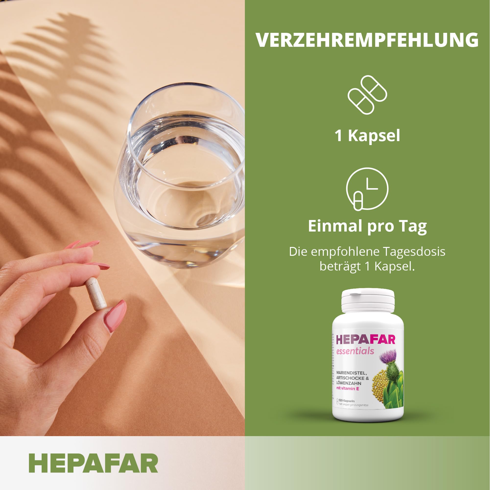 Sensilab Leberkur – 120 Hochdosierte Mariendistel Kapseln für 120 Tage – Leber Kur, Leber Komplex & Fettstoffwechsel – Mariendistel, Artischocke, Löwenzahn, Vitamin E – 80% Silymarin – Hepafar
