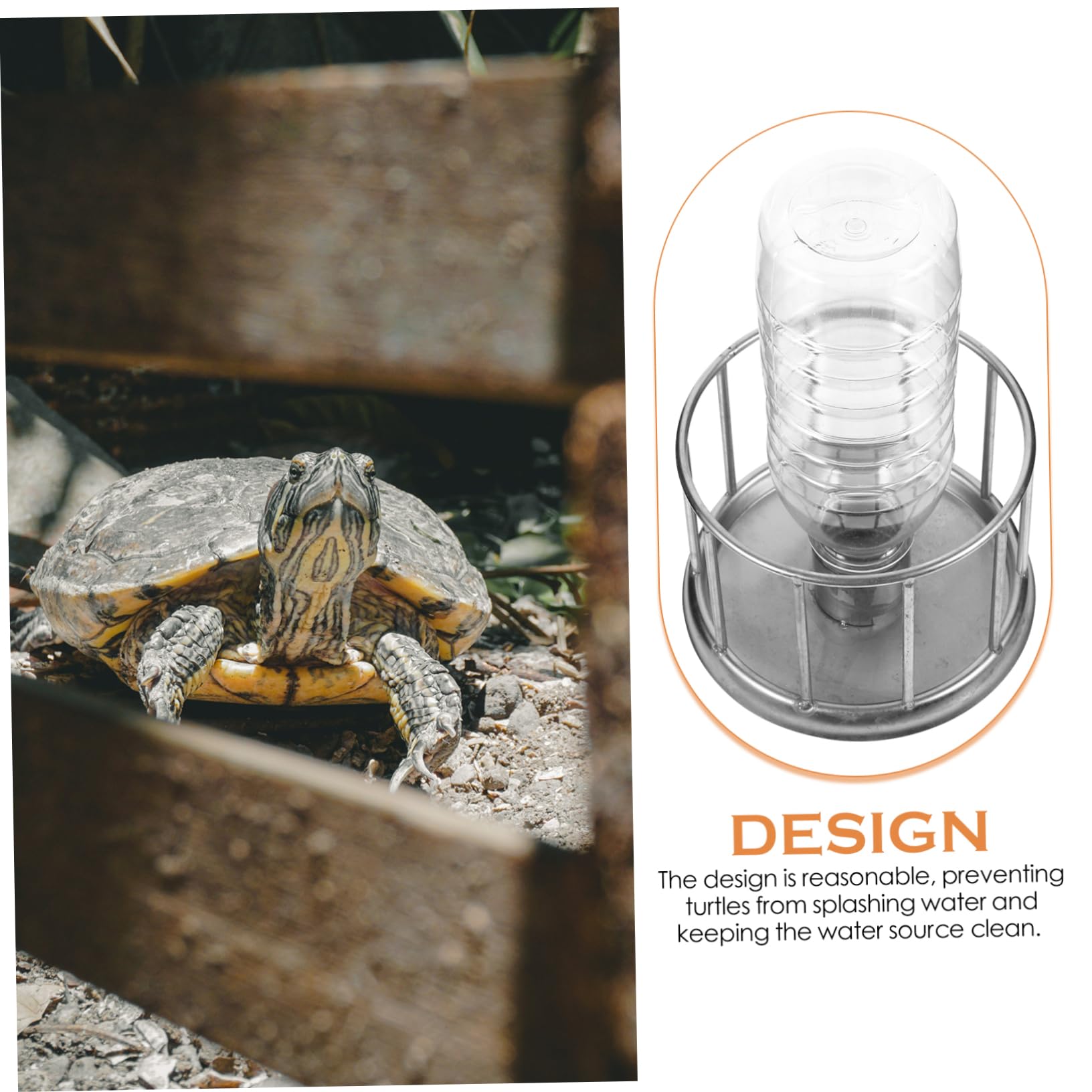 WOONEKY 3pezzi Ciotola per Inossidabile per Tartarughe e Rettili Vassoio Multifunzionale per e Terrario e Resistente Accessori per Tartarughe e Lucertole