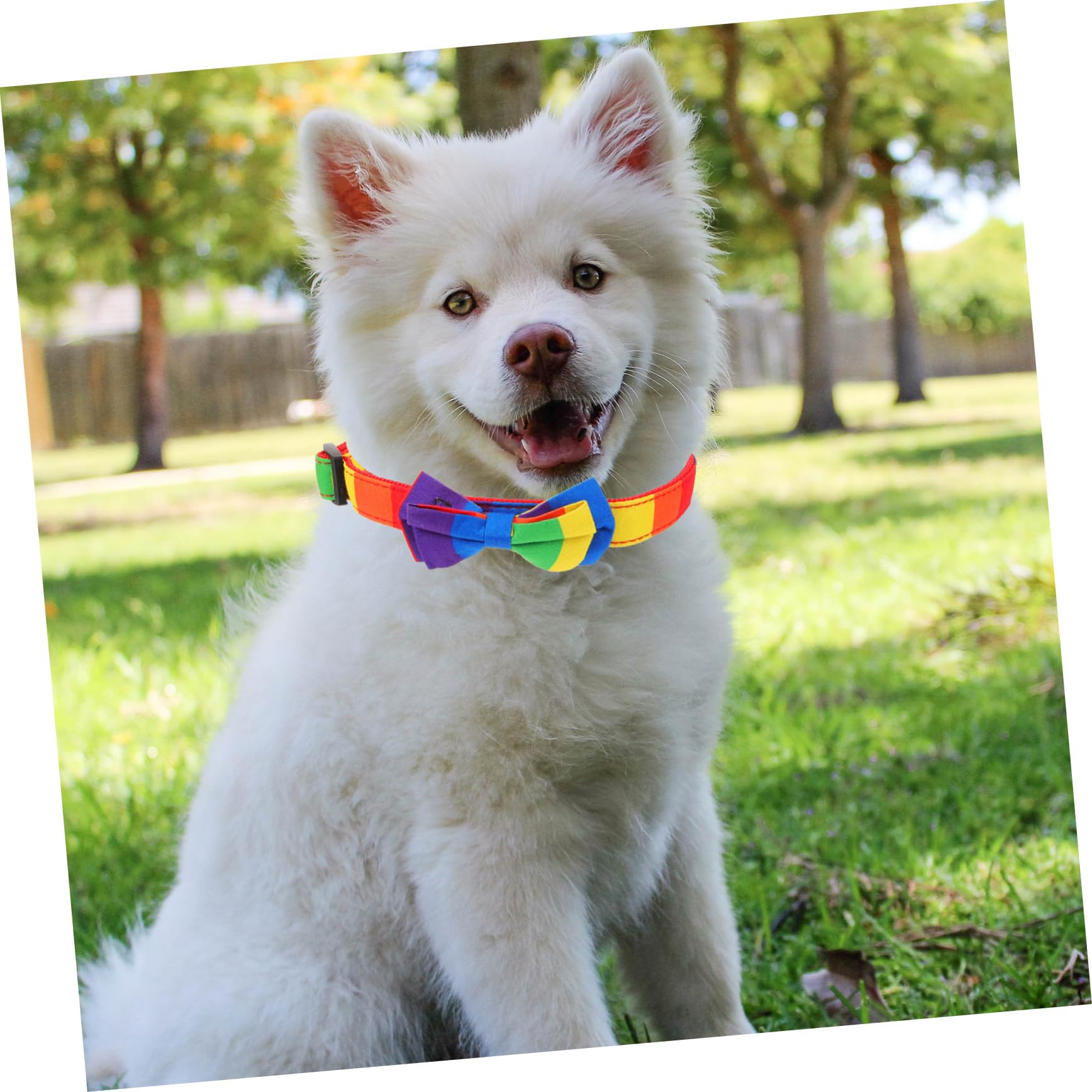 FRCOLOR 5pièces Collier Ajustable Tissu pour Chiens Et Motif Arc-Ciel avec Nœud Décoratif Accessoire pour Animaux De Compagnie