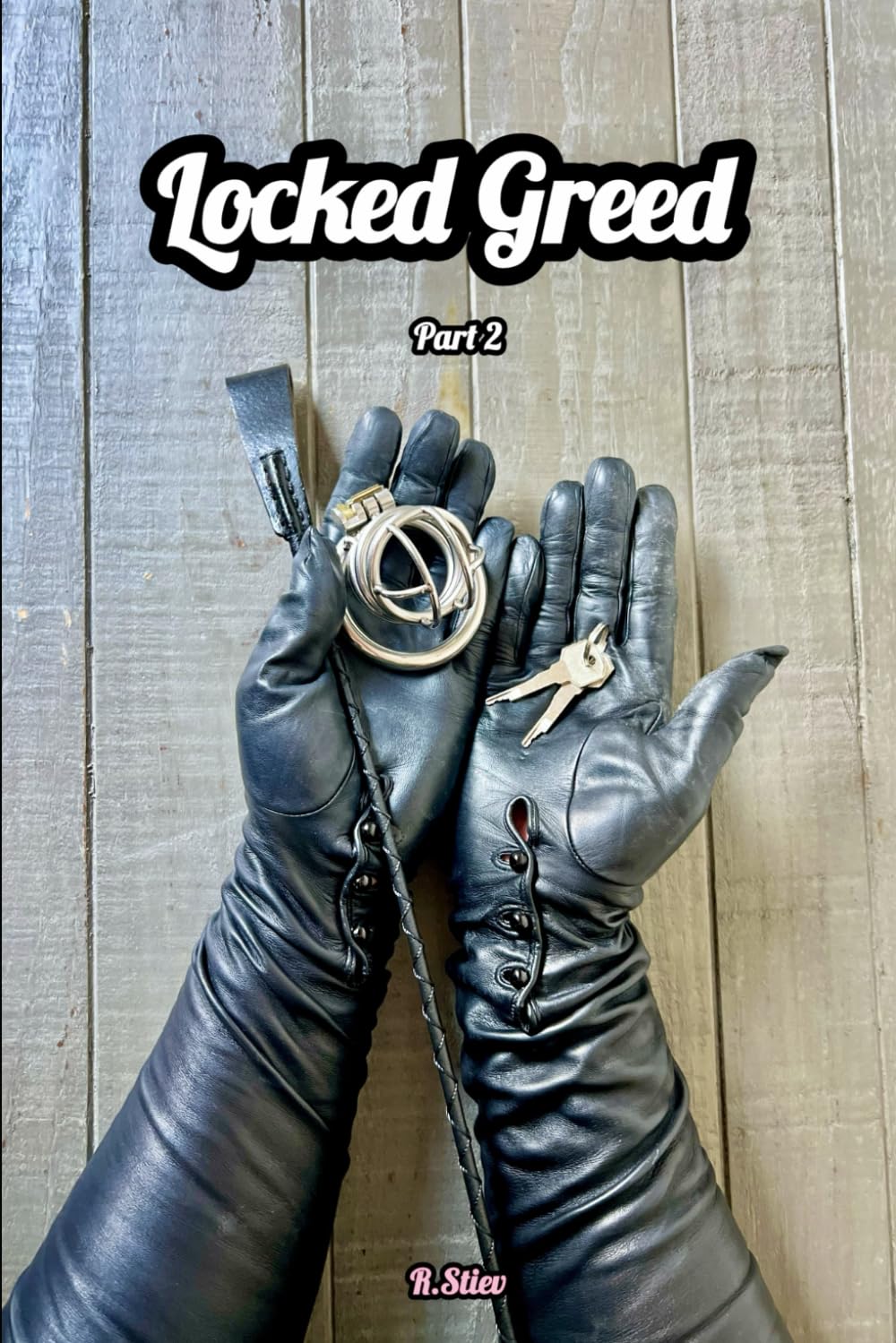 Locked Greed: Part 2. A Femdom Novel