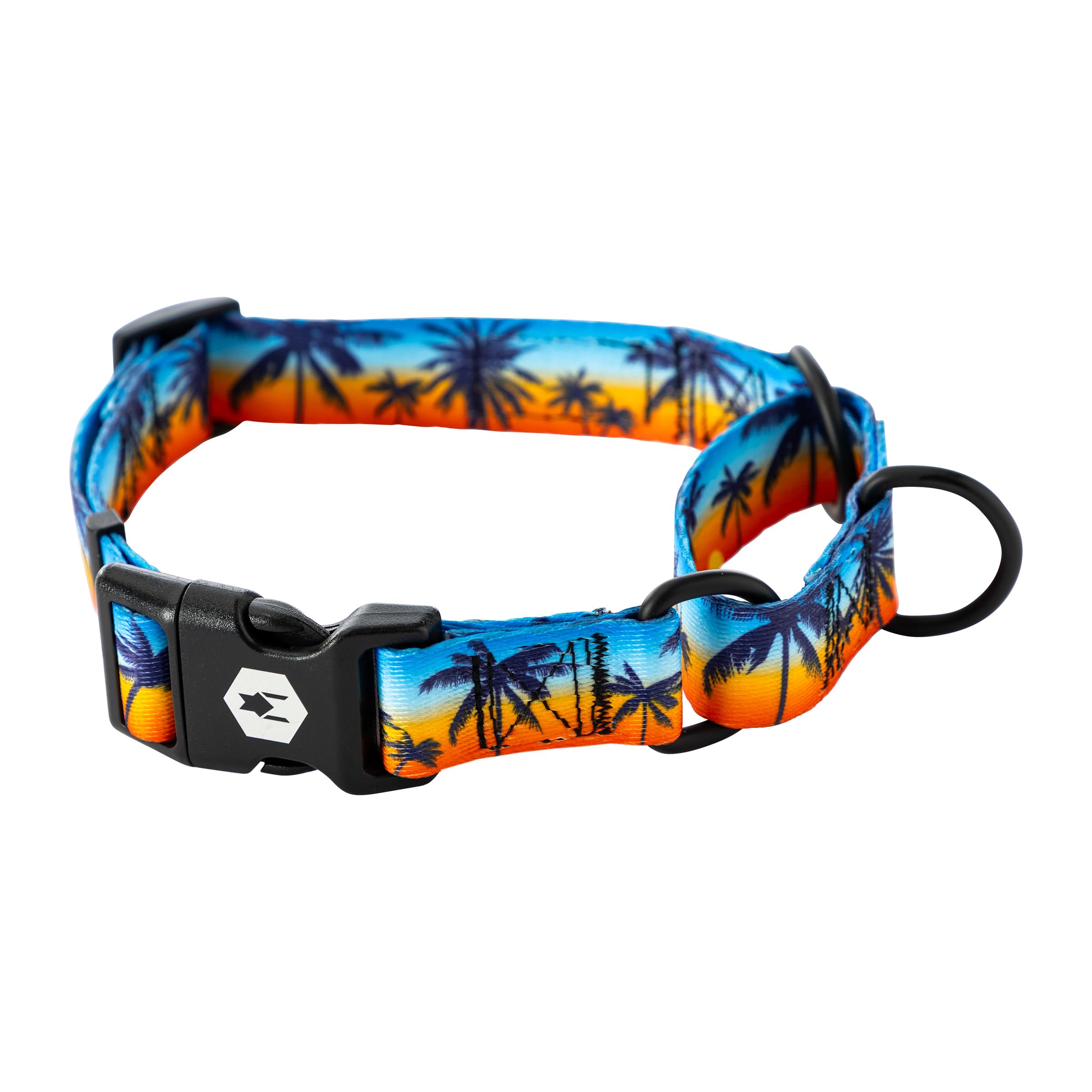 Collier martingale chien Wolfgang grand format promenade coucher de soleil