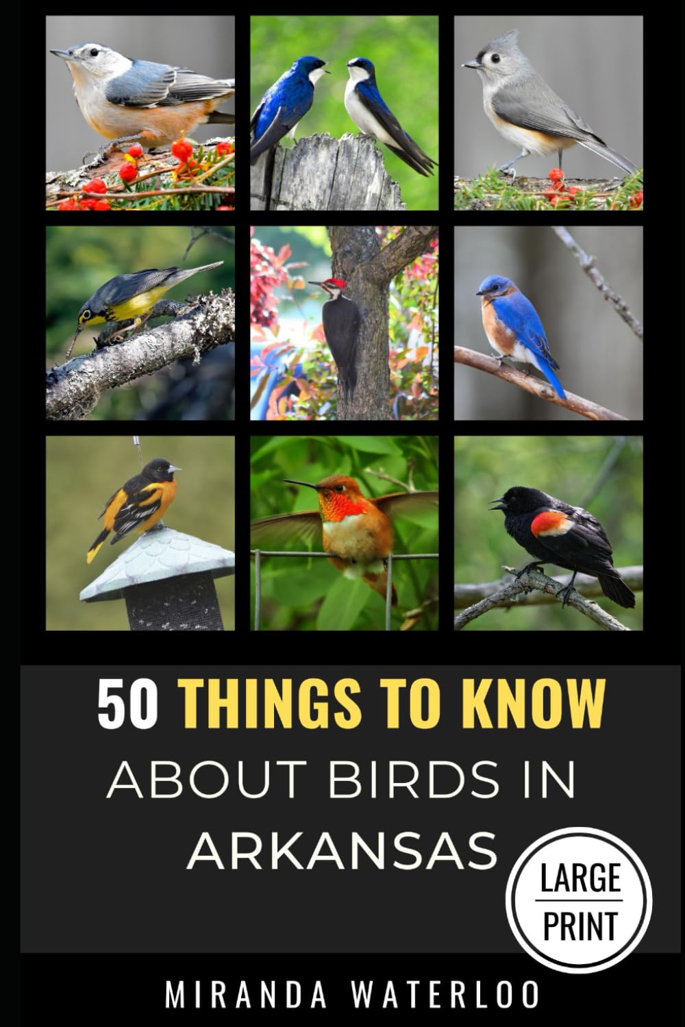 50 THINGS TO KNOW ABOUT BIRDS IN ARKANSAS LARGE PRINT: Birding in the Natural State (50 Things to Know About Birds and Birdwatching: Birdwatching ... identification tips, and regional bird books)