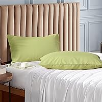 Vista 31 de Evolive Juego de 2 fundas de almohada de microfibra cepillada ultrasuave de tamaño estándar de 20 x 30 pulgadas con cierre de sobre