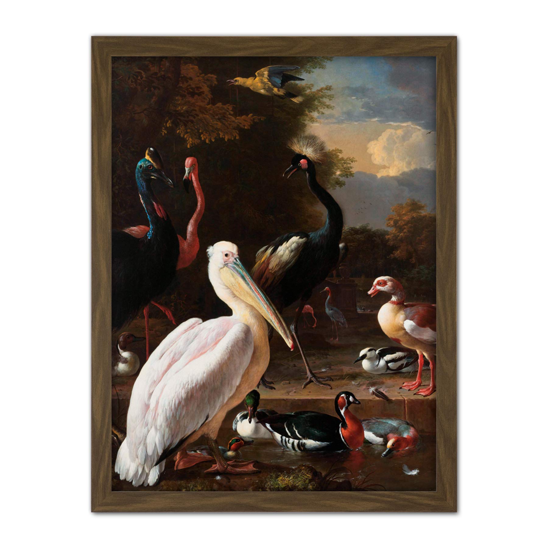 Artery8 Hondecoeter Pelican Birds Pool Floating Feather Artwork Framed Wall Art Print 18X24 Inch