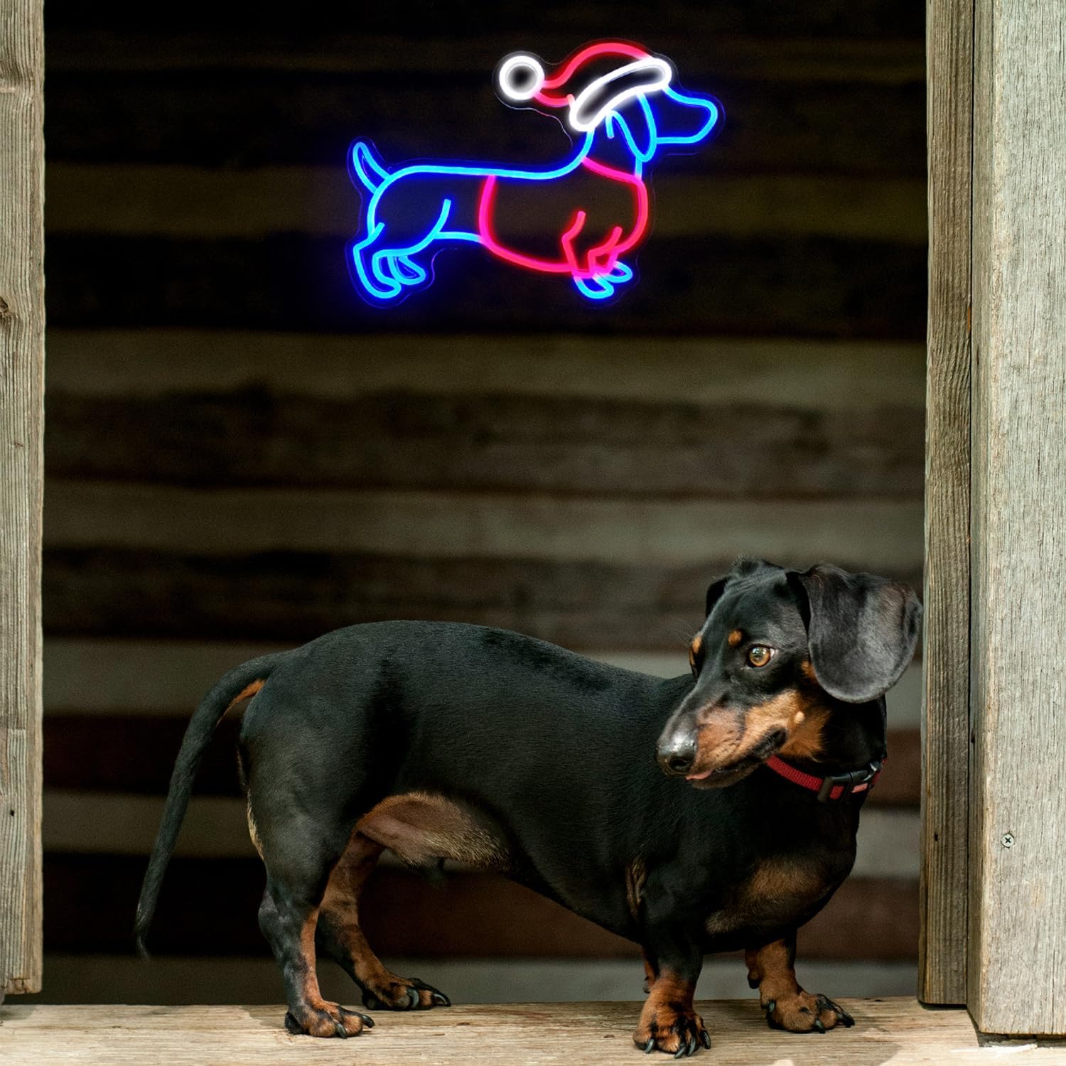 Dachshund Neon Sign Christmas Hat Neon LED Sign Weiner Dog Neon Lights for Bedroom Puppy LED Sign Animal Wall Art Cute Dog Neon Light Up Sign for Pet Shop Party Decor Christmas Gift - Image 7