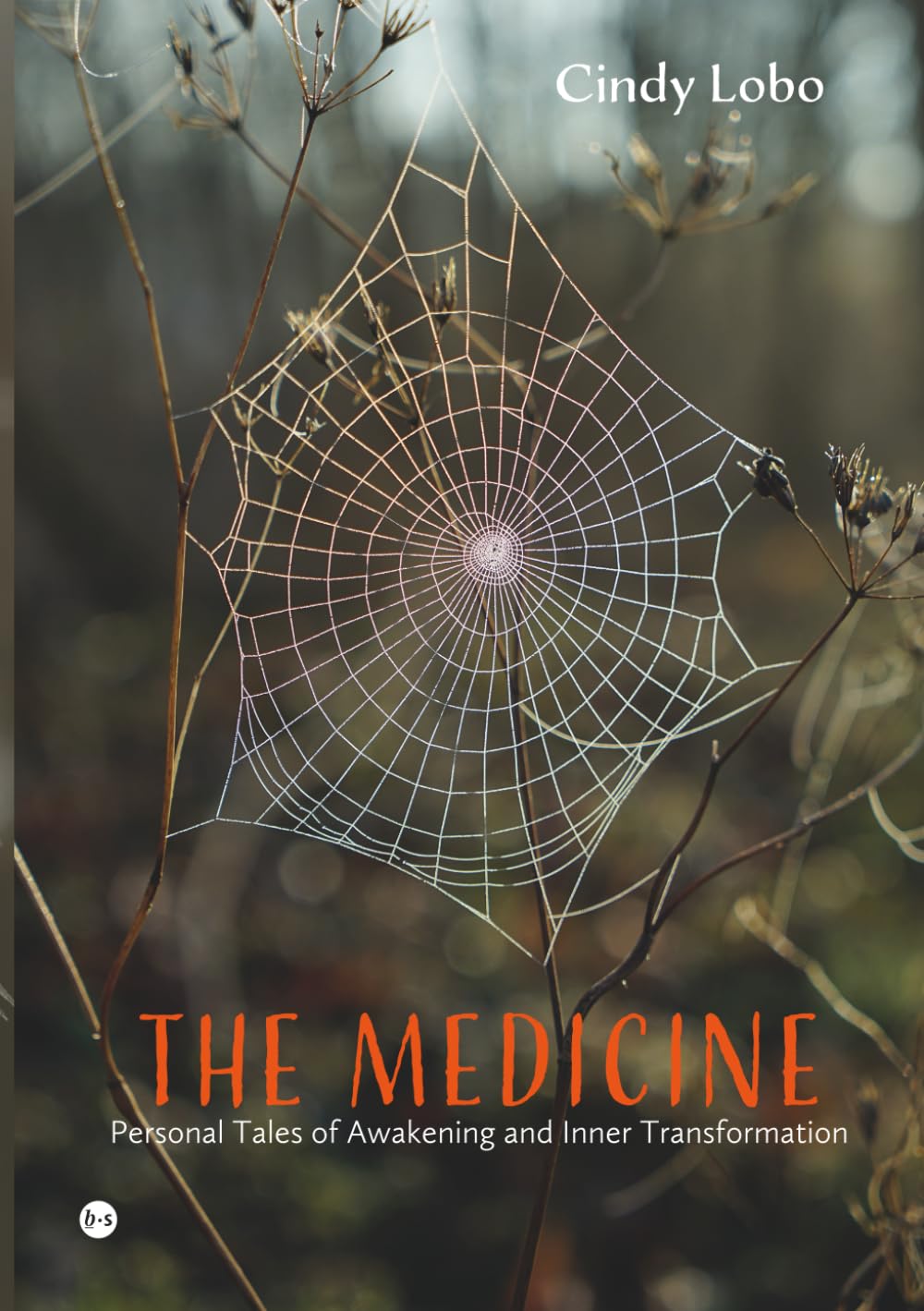 The Medicine: Personal Tales of Awakening and Inner Transformation
