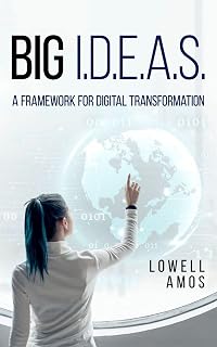 Big I.D.E.A.S.: A Framework for Digital Transformation
