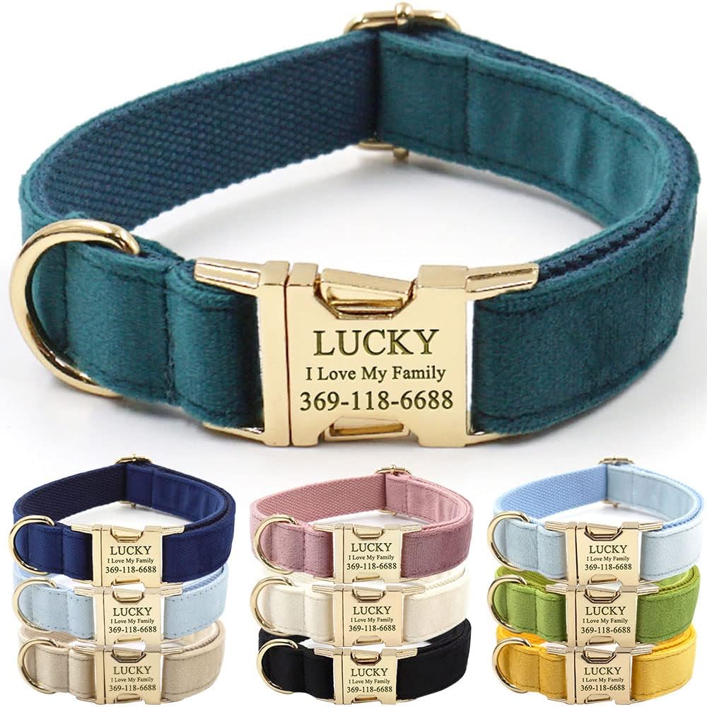 PETDURO Custom Dog Collar Personalized with Name Engraved Gold Metal Buckle for Large Medium Small Boy and Girl Dogs – Dog Leash and Bow Tie Set Available – Soft Comfy Velvet (Gem Green, M)