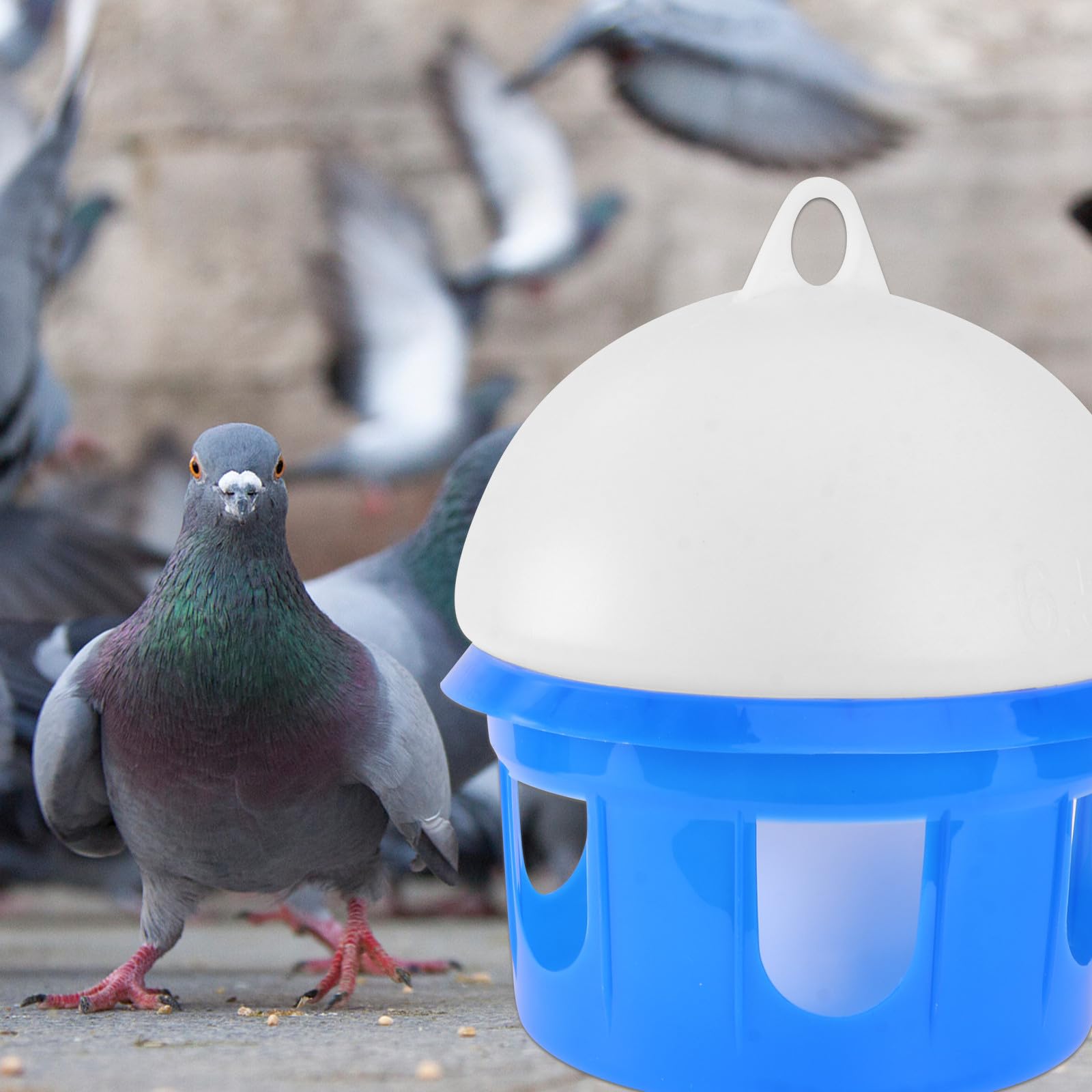 HOMSFOU Automatische Vogeltränke 6,5 L Weiß Blau Wasserspender für Tauben Papageien Vogelzubehör mit Langlebigem Material und Einfachem Reinigungssystem