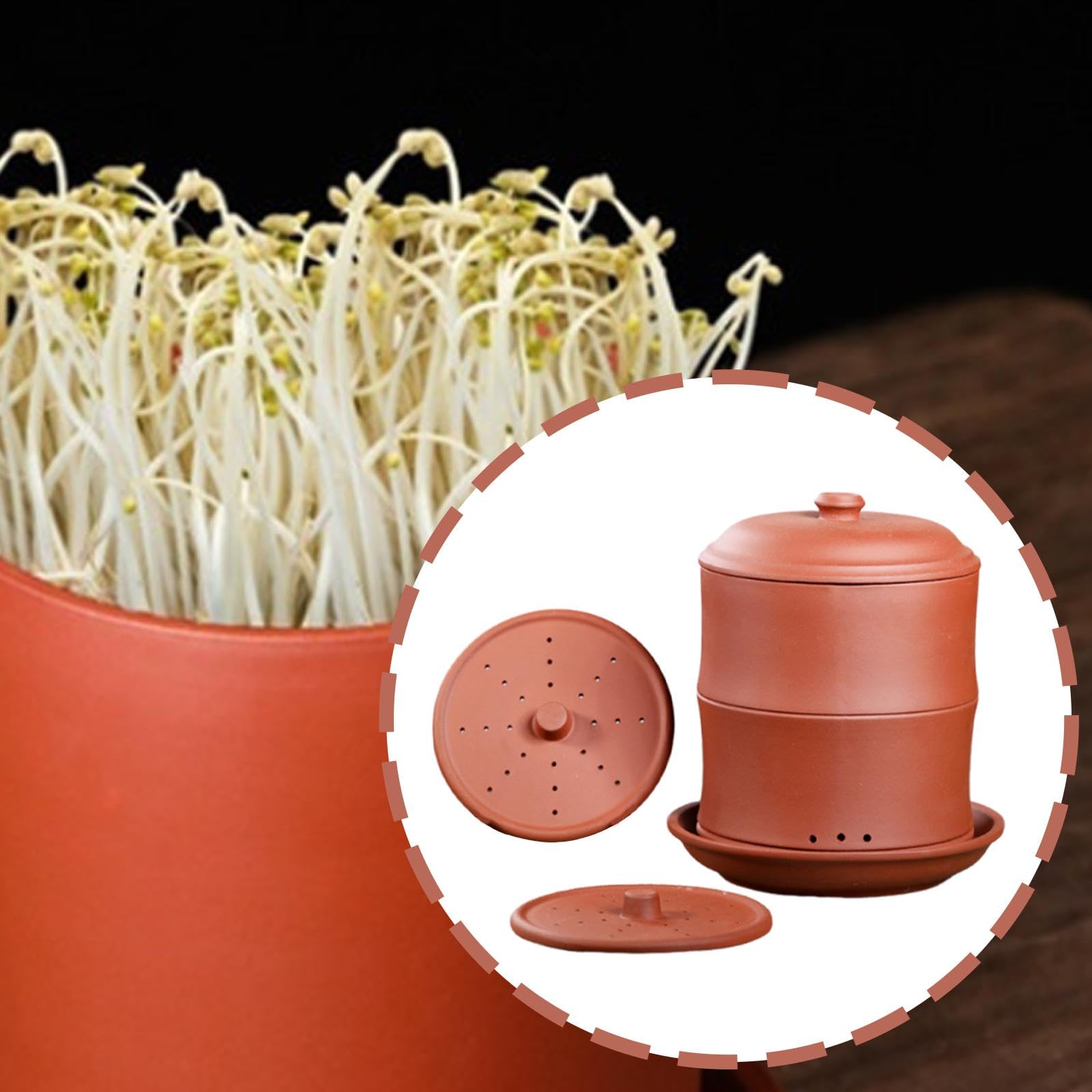 Pot de germination d'argile violette – Plateau de germination de graines avec trous de drainage pour germes de haricots, récipient de plantation de jardin (18,2 cm de diamètre) – Rouge