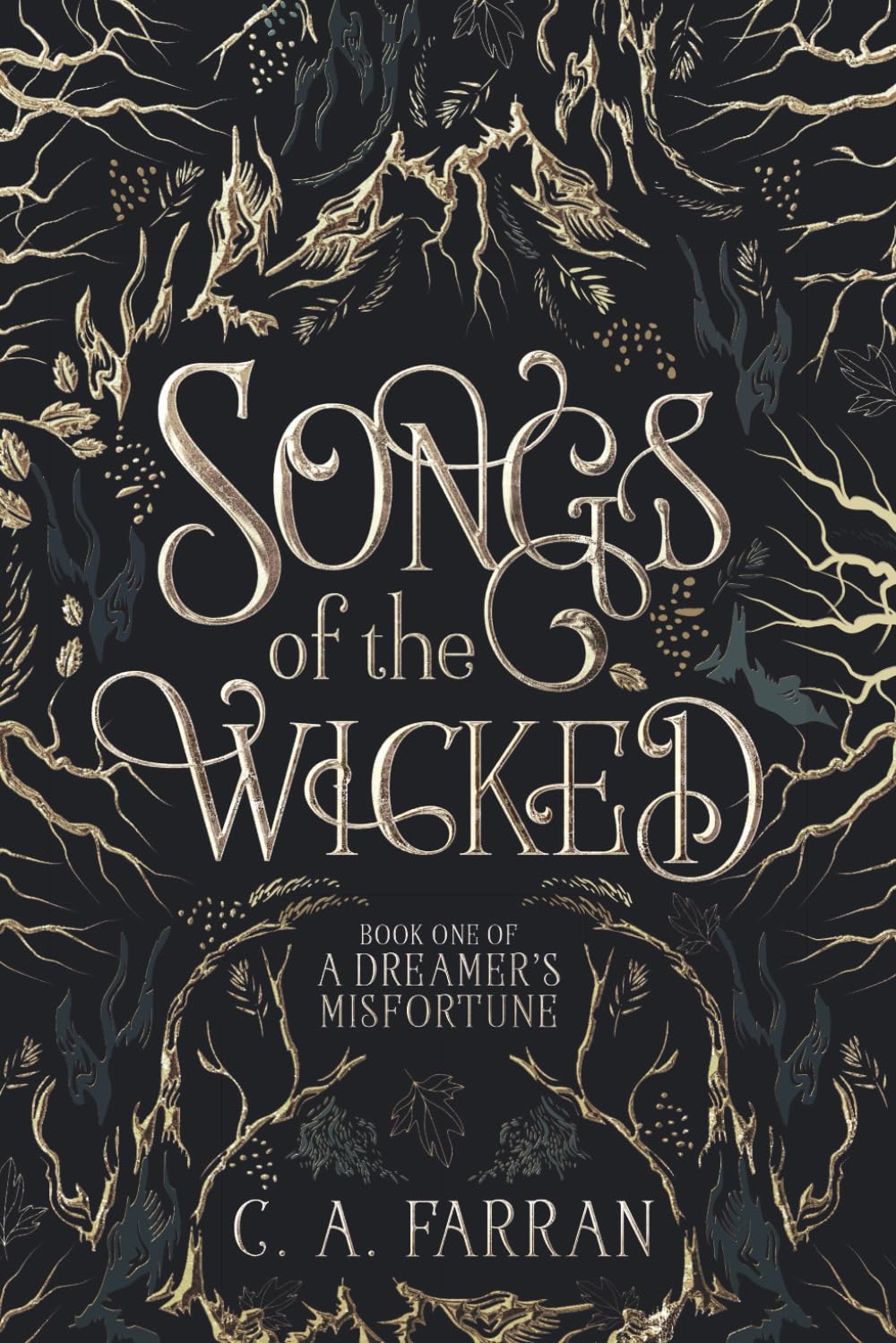 Songs of the Wicked: Book One of A Dreamer's Misfortune