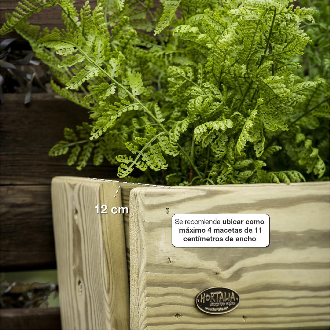 Hortalia Huerto Urbano - Jardín Vertical de Madera - Protección Autoclave Nivel IV - Stand Line (4 Bandejas, Pared)