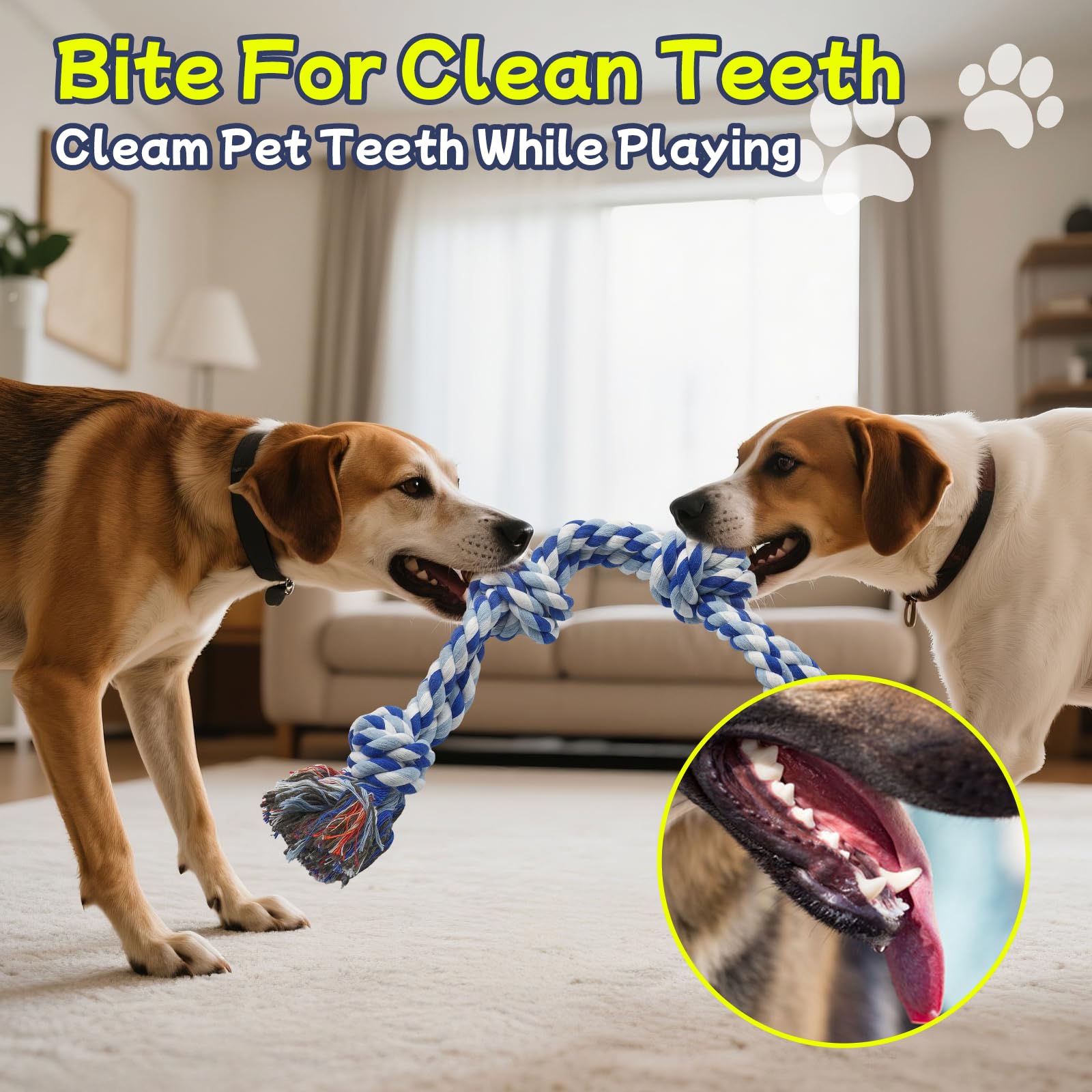 Amazon | Rocfish [4個パック] 攻撃的な噛むための犬用ロープトイ