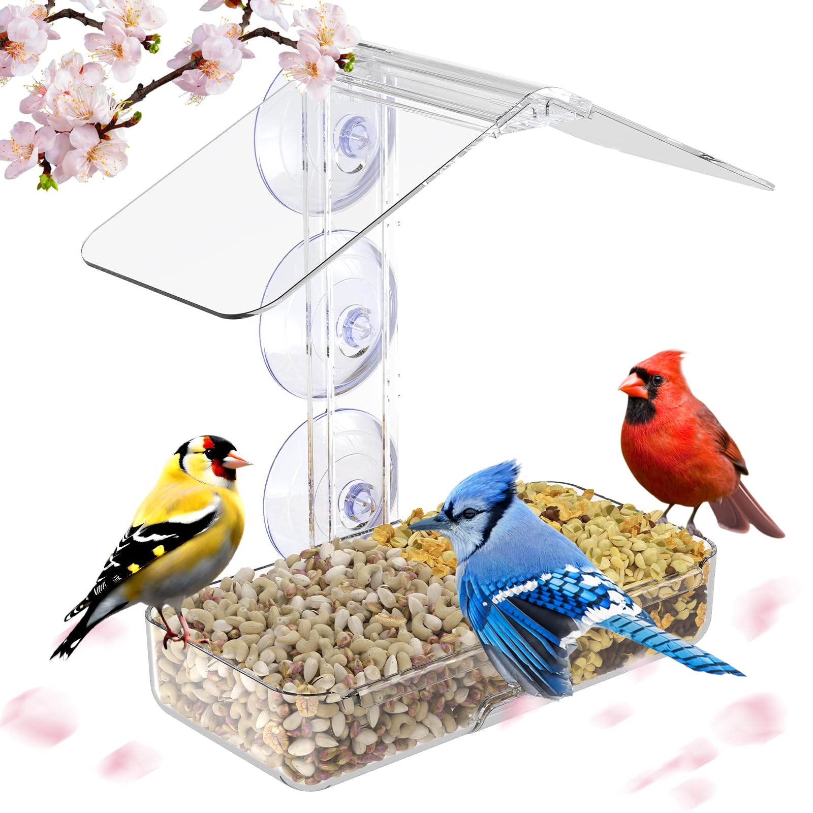 Bolas De Comedero Para Pájaros Silvestres, Comedero Suspendido Para Pájaros  Al Aire Libre, Comedero De Bolas De Sebo Para Exteriores, Dispensador De, image size:1600x1600