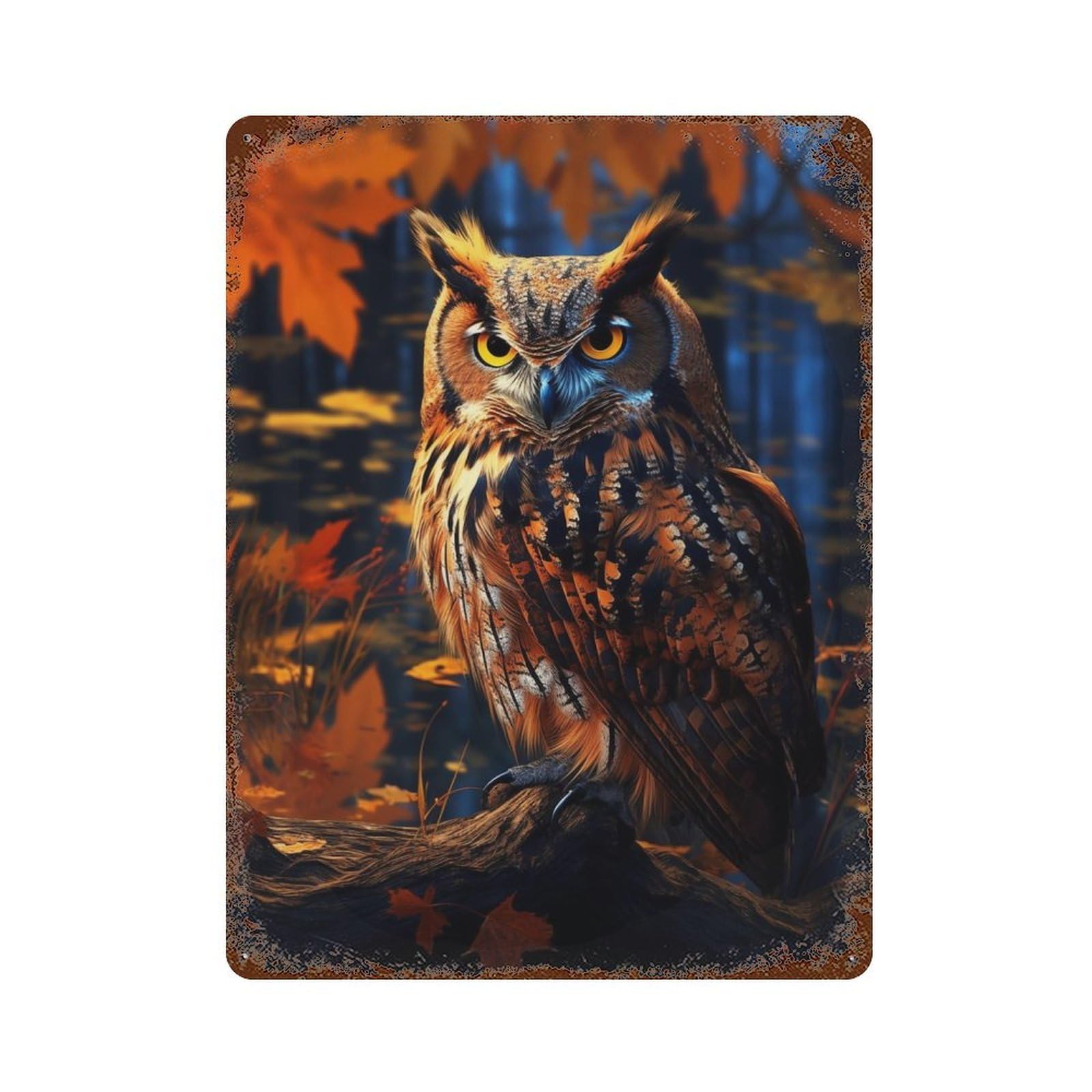 Rust Effect Fantasy Owl Retro Metal Sign 15.7"x11.8", Farmhouse Wall Decor for Living Room, Hallway And Home Decor